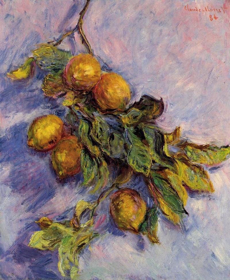 Cloude Monet Oil Paintings Branch of Lemons 1884 - Click Image to Close