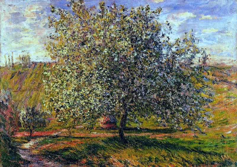 Cloude Monet Oil Paintings Tree in Flower near Vetheuil 1879