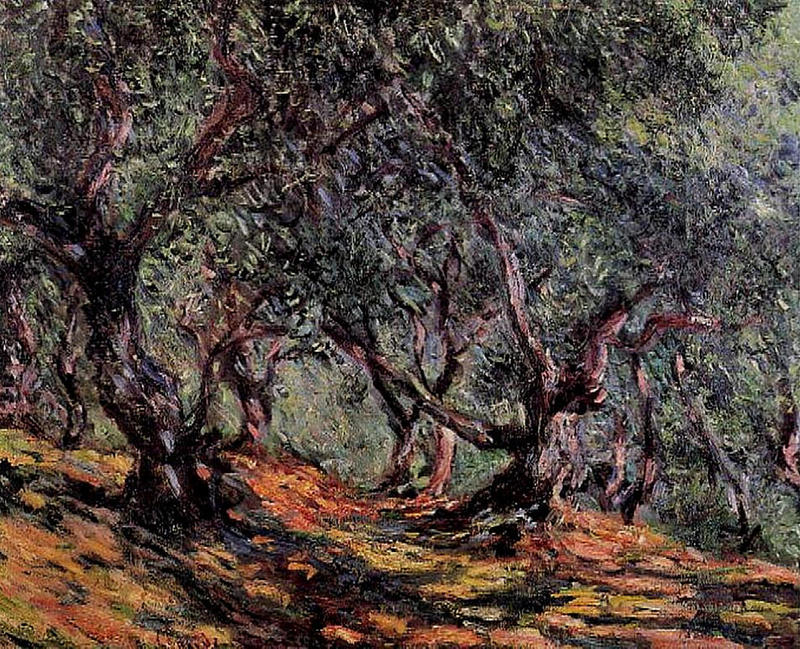 Cloude Monet Oil Painting Olive Trees in Bordigher 1884 - Click Image to Close