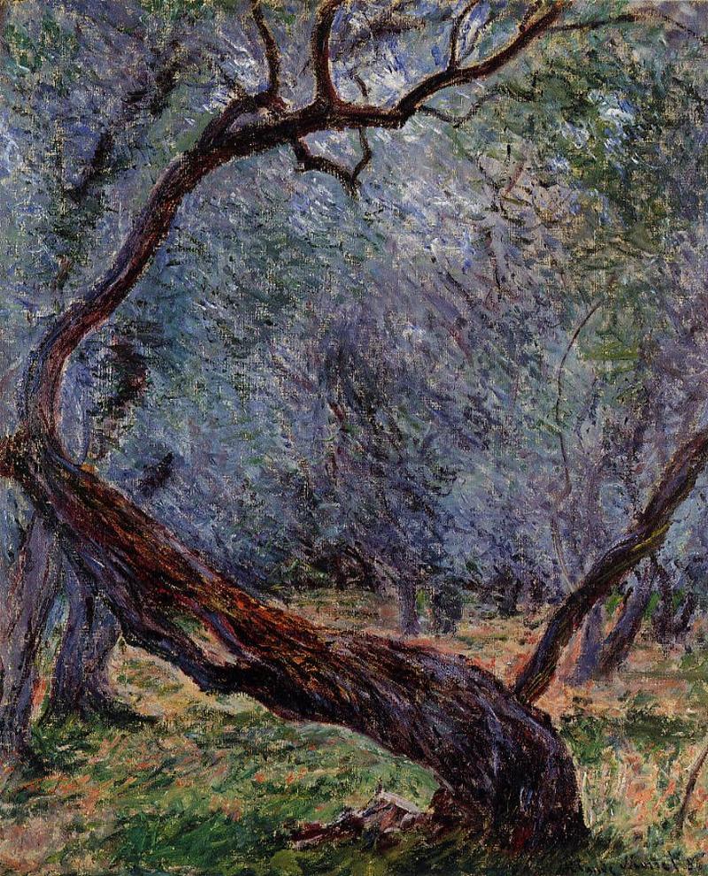 Cloude Monet Oil Painting Olive Trees.Study. 1884 - Click Image to Close